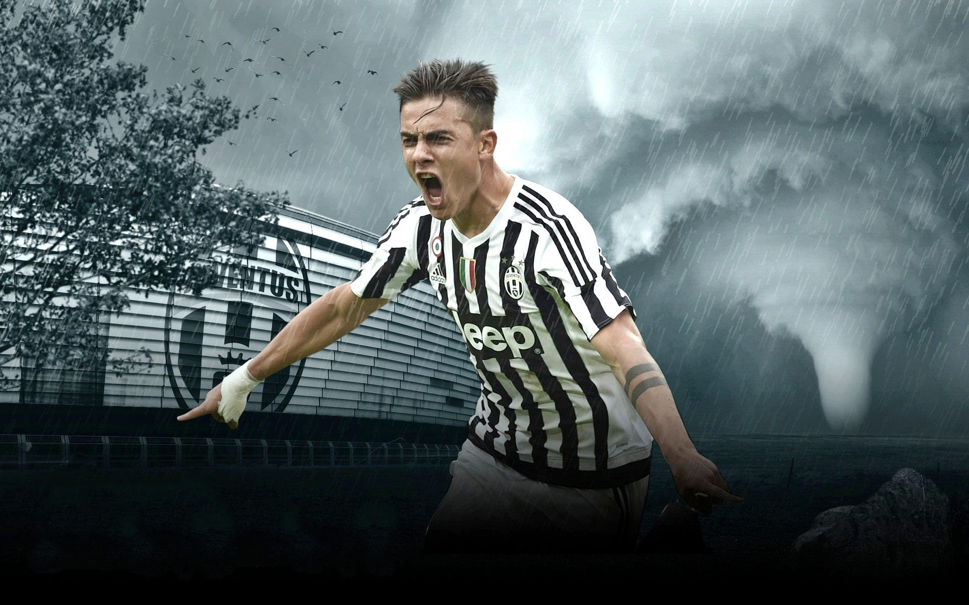 加图索：必须少给挪威空间；回到圣西罗让我想起许多快乐（加图索：必须压缩挪威的活动空间，重返圣西罗勾起许多美好回忆）